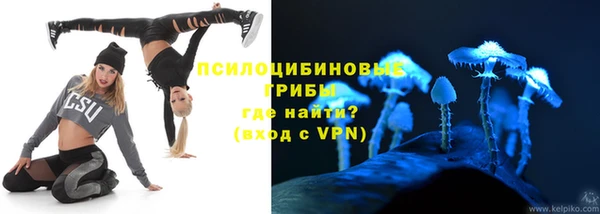 ALPHA PVP Аркадак